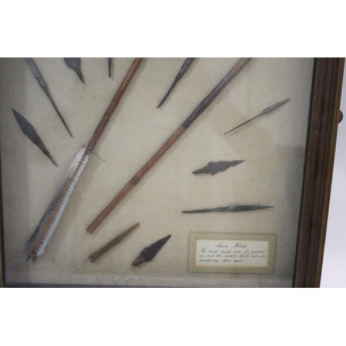 1511 - FRAMED ARROW HEADS a cased display with various metal arrow heads and shafts, with an information la... 