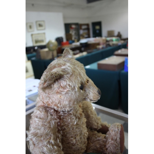 1433 - EARLY STEIFF TEDDY BEAR circa 1908-1915, with black boot button eyes and stitched mouth and nose, wi... 