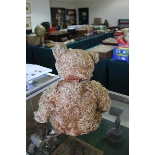 1433 - EARLY STEIFF TEDDY BEAR circa 1908-1915, with black boot button eyes and stitched mouth and nose, wi... 