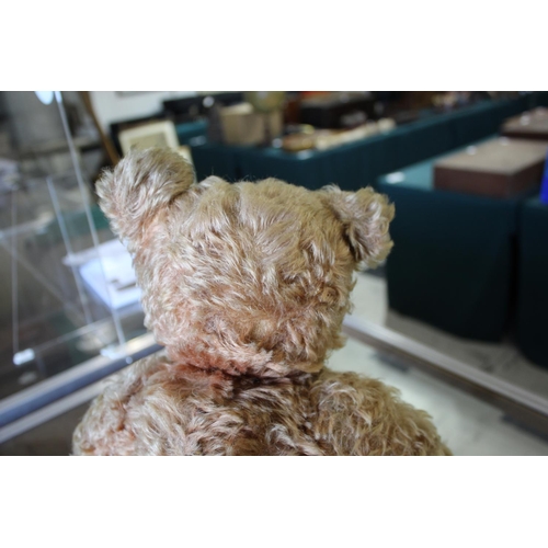 1433 - EARLY STEIFF TEDDY BEAR circa 1908-1915, with black boot button eyes and stitched mouth and nose, wi... 