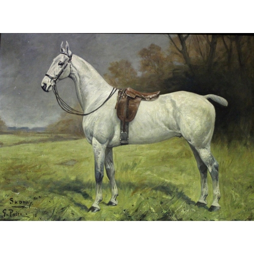 725 - GEORGE PAICE (1854-1925) `SWANNY`, A SADDLED GREY IN A FIELD Signed, inscribed with name and dated 1... 