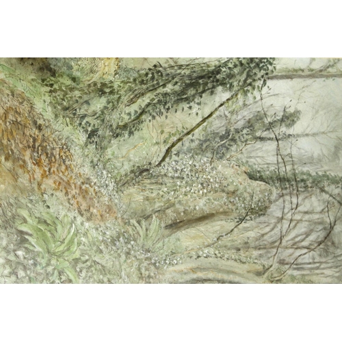 767 - REYNOLDS STONE, CBE (1909-1979) THE TANGLED WOOD Watercolour with pen and ink  52 x 34cm. ++ Good c... 