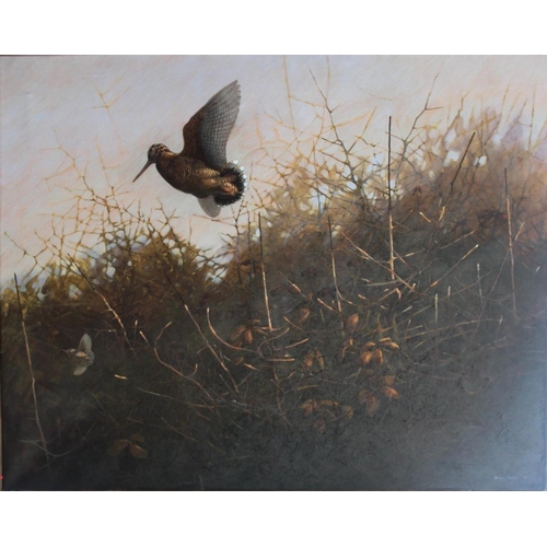 Lot 796       