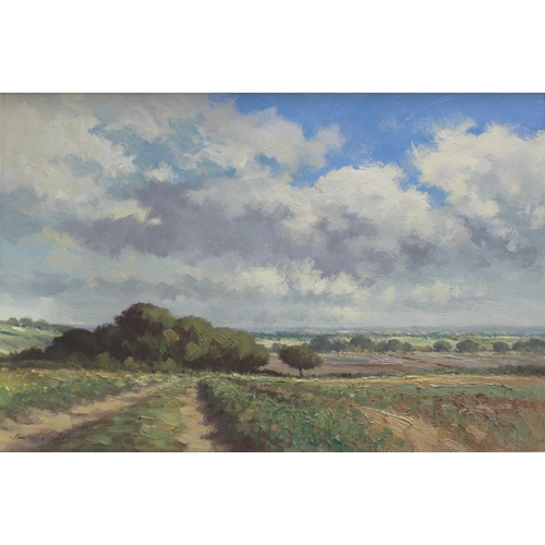 Lot 809       