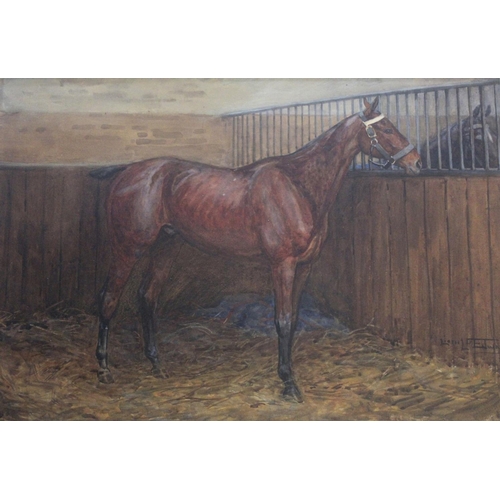 773 - LIONEL EDWARDS (1878-1966) BAY HORSE IN A STABLE A pair, both signed and dated 1905, watercolour Ea... 