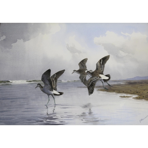 780 - JOHN CYRIL HARRISON (1898-1985) GREENSHANKS Signed, watercolour and pencil 38 x 55cm. ++ Good condi... 