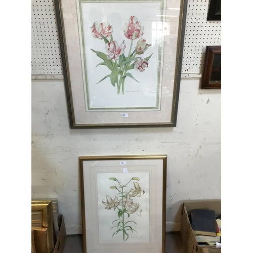 102 - Alistair Gordon, Three Botanical Prints, signed (3)