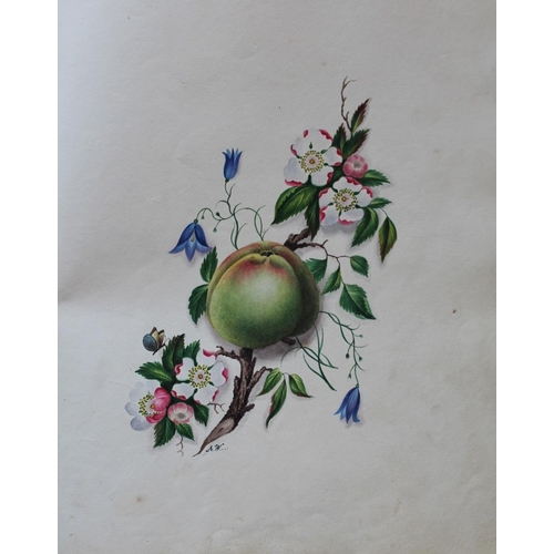 510 - AN ALBUM OF DRAWINGS & WATERCOLOURS, c.1832-1850 comprising approximately 31 leaves of writing, penc... 