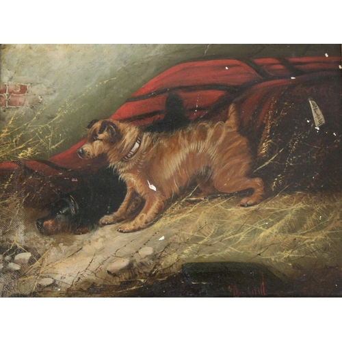 551 - EDWARD ARMFIELD (1817-1896) TERRIERS RATTING A pair, both signed oil on canvas Each 29 x 39cm. (2) +... 