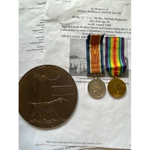 248 - A FIRST WORLD WAR PAIR AND MEMORIAL PLAQUE TO THE NORFOLK REGIMENT. A Great War Pair comprising War ... 