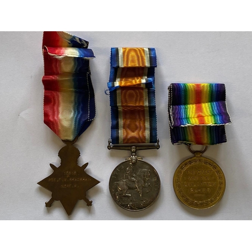 396 - A FIRST WORLD WAR CASUALTY TRIO TO THE NORFOLK REGIMENT. A Great War Trio comprising 1914-15 Star na... 