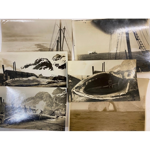 107 - ANTARCTIC EXPLORATION. A group of approx. 140 photographs of the RRS Discovery II expeditions, c. 19... 