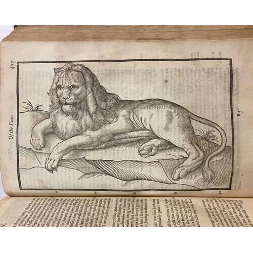 115 - EDWARD TOPSELL. The Histoire of Foure-footed Beasts, 1607. Edward Topsall. The Historie of Foure-foo... 