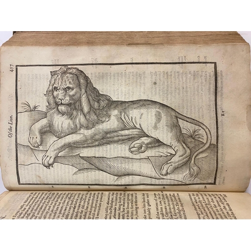 115 - EDWARD TOPSELL. The Histoire of Foure-footed Beasts, 1607. Edward Topsall. The Historie of Foure-foo... 