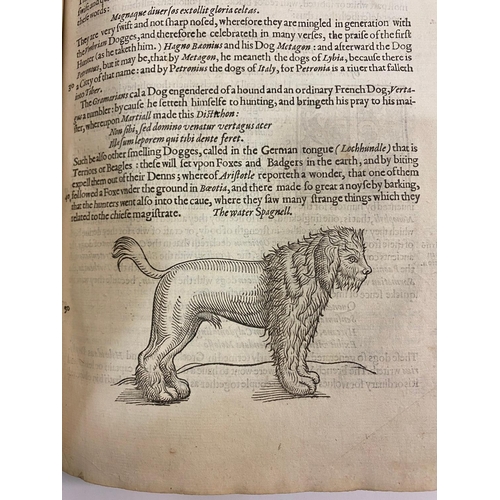 115 - EDWARD TOPSELL. The Histoire of Foure-footed Beasts, 1607. Edward Topsall. The Historie of Foure-foo... 