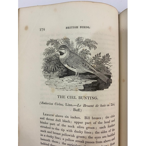 118 - THOMAS BEWICK. A History of British Birds, 2 volumes, 1826, and 1 other. Thomas Bewick A History of ... 