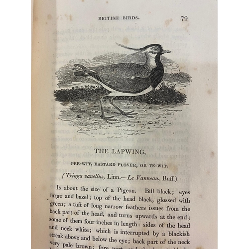 118 - THOMAS BEWICK. A History of British Birds, 2 volumes, 1826, and 1 other. Thomas Bewick A History of ... 