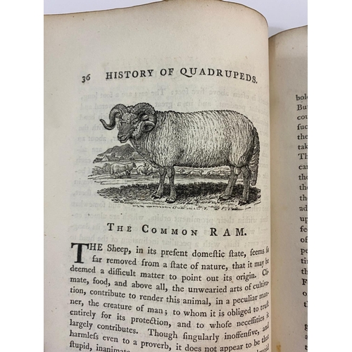 119 - THOMAS BEWICK. A General History of Quadrupeds, 1790. Thomas Bewick. A General History of Quadrupeds... 