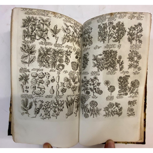 122 - JAMES NEWTON. A Complete Herbal, 1805. James Newton. A Complete Herbal, new edition, engraved portra... 