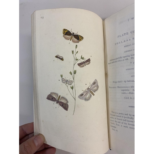 123 - EDWARD DONOVAN. The Natural History of British Insects, 8 volumes, 1804. Edward Donovan. The Natural... 