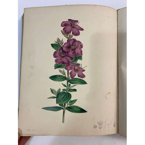 124 - G. B. KNOWLES AND F. WESTCOTT. The Floral Cabinet, volume 2, 1838. G. B. Knowles and F. Westcott. Th... 