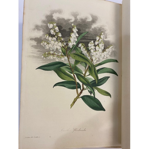 126 - JOSEPH PAXTON. Paxton's Magazine of Botany, volume 4, 1838. Joseph Paxton. Paxton's Magazine of Bota... 