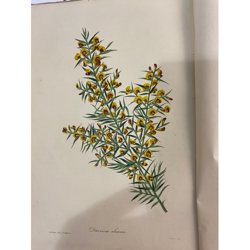 126 - JOSEPH PAXTON. Paxton's Magazine of Botany, volume 4, 1838. Joseph Paxton. Paxton's Magazine of Bota... 