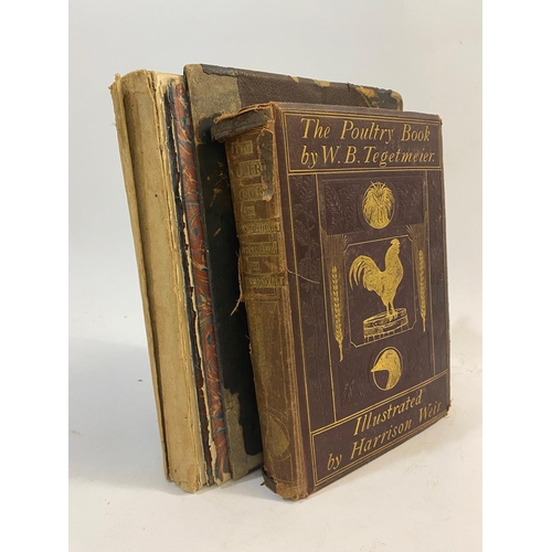 127 - THOMAS GENTRY. Nests and Eggs of Birds of the United States, 1882 and 1 other (2). Thomas Gentry. Ne... 