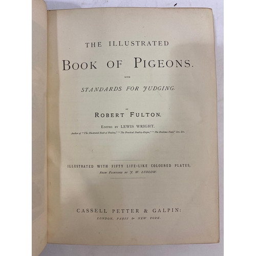 128 - ROBERT FULTON. The Illustrated Book of Pigeons, c. 1885. Robert Fulton. The Illustrated Book of Pige... 