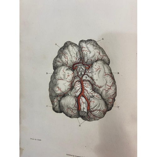 129 - CHARLES BELL. Engravings of the Arteries, 1811. Charles Bell. Engravings of the Arteries, third edit... 