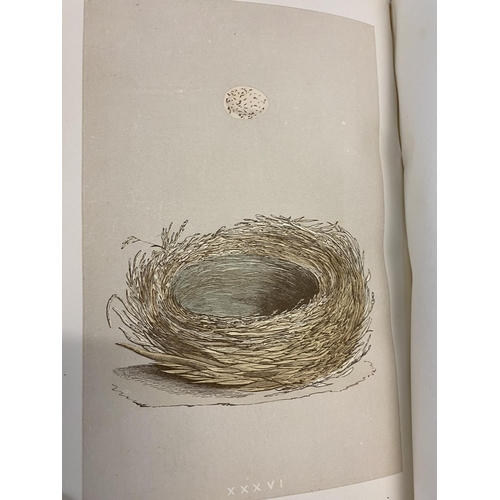 132 - FRANCIS ORPEN MORRIS. A Natural History of the Nests and Eggs of British Birds, 3 volumes, 1879. Fra... 