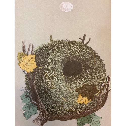 132 - FRANCIS ORPEN MORRIS. A Natural History of the Nests and Eggs of British Birds, 3 volumes, 1879. Fra... 