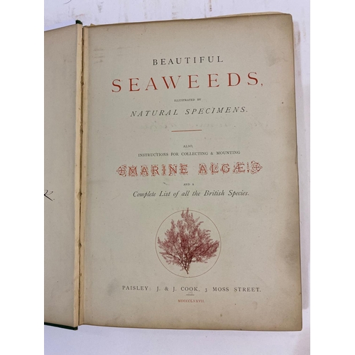 133 - JAMES COOK. Beautiful Seaweeds, 1877-1880. James Cook. Beautiful Seaweeds, Illustrated by Natural Sp... 