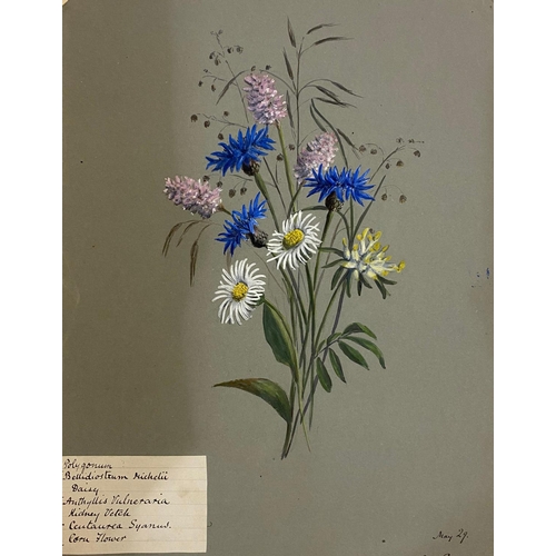 134 - ANTONIA LEFROY. A mid-nineteenth century album of botanical watercolours.  A mid-nineteenth century ... 