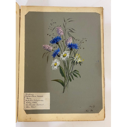 134 - ANTONIA LEFROY. A mid-nineteenth century album of botanical watercolours.  A mid-nineteenth century ... 