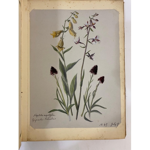 134 - ANTONIA LEFROY. A mid-nineteenth century album of botanical watercolours.  A mid-nineteenth century ... 