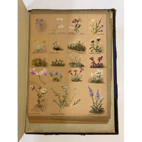 134 - ANTONIA LEFROY. A mid-nineteenth century album of botanical watercolours.  A mid-nineteenth century ... 