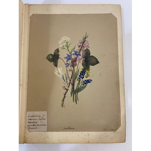 134 - ANTONIA LEFROY. A mid-nineteenth century album of botanical watercolours.  A mid-nineteenth century ... 