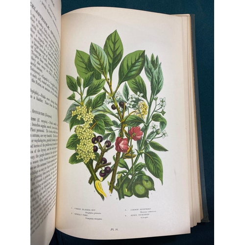 137 - EDWARD HAMILTON. The Flora Homeopathica, volume 2, 1853 and 9 others (10). Edward Hamilton. The Flor... 