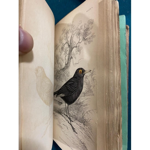 145 - WILLIAM JARDINE. The Naturalist's Library, 4 volumes, c. 1838. William Jardine. The Naturalist's Lib... 