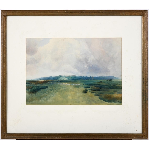 393 - WILLIAM HYDE (1859-1925). SHEEP ON A HEATH. Signed and dated 1911, watercolour
25.5 x 40.5cm. * A fe... 