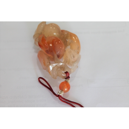 902 - CHINESE CARVED AGATE PENDANT. A 19thc agate pendant, carved with an animal figure possibly a Fox, an... 