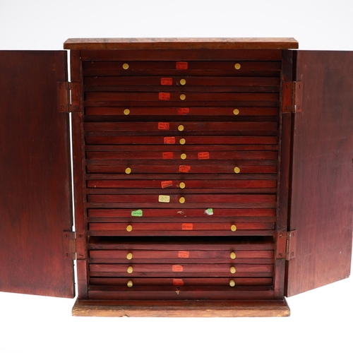 683 - AN EALY 20TH CENTURY STAINED PINE COIN COLLECTORS CABINET. A two door cabinet containing fifteen tra... 