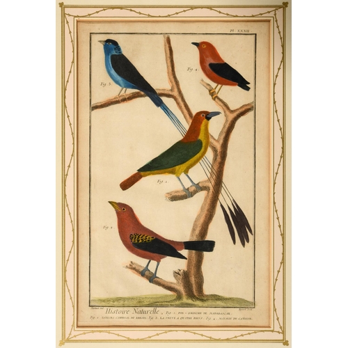 486 - FRANCOIS NICOLAS MARTINET (1731-1800). After. HISTOIRE NATURELLE DES OISEAUX (pls. 32, 33, 34, 39, 4... 