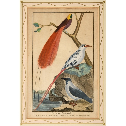 486 - FRANCOIS NICOLAS MARTINET (1731-1800). After. HISTOIRE NATURELLE DES OISEAUX (pls. 32, 33, 34, 39, 4... 