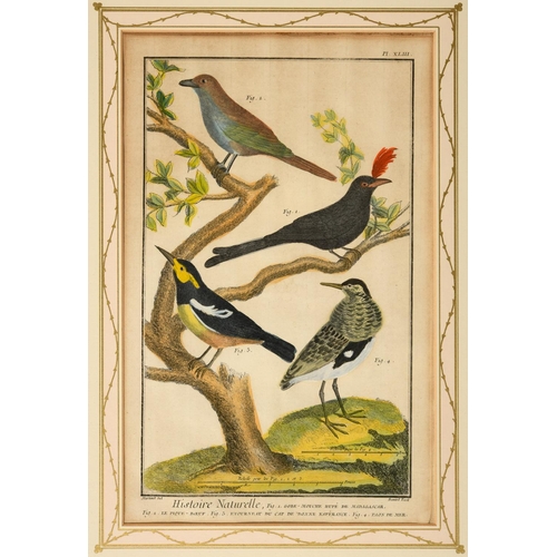 486 - FRANCOIS NICOLAS MARTINET (1731-1800). After. HISTOIRE NATURELLE DES OISEAUX (pls. 32, 33, 34, 39, 4... 