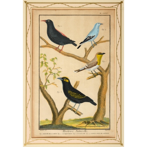 486 - FRANCOIS NICOLAS MARTINET (1731-1800). After. HISTOIRE NATURELLE DES OISEAUX (pls. 32, 33, 34, 39, 4... 