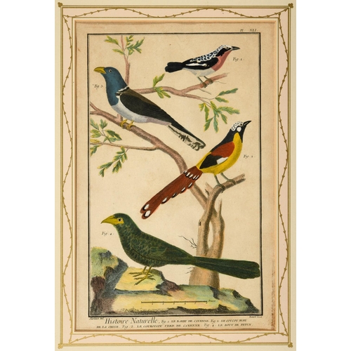 486 - FRANCOIS NICOLAS MARTINET (1731-1800). After. HISTOIRE NATURELLE DES OISEAUX (pls. 32, 33, 34, 39, 4... 