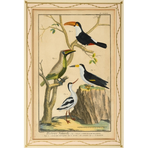 486 - FRANCOIS NICOLAS MARTINET (1731-1800). After. HISTOIRE NATURELLE DES OISEAUX (pls. 32, 33, 34, 39, 4... 