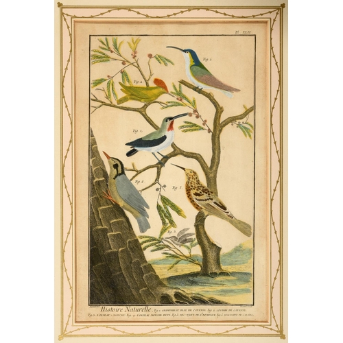 486 - FRANCOIS NICOLAS MARTINET (1731-1800). After. HISTOIRE NATURELLE DES OISEAUX (pls. 32, 33, 34, 39, 4... 